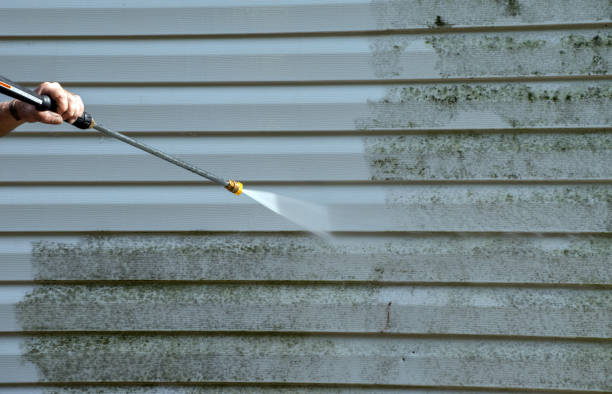 Best Office Mold Removal Services  in Sharon Center, OH