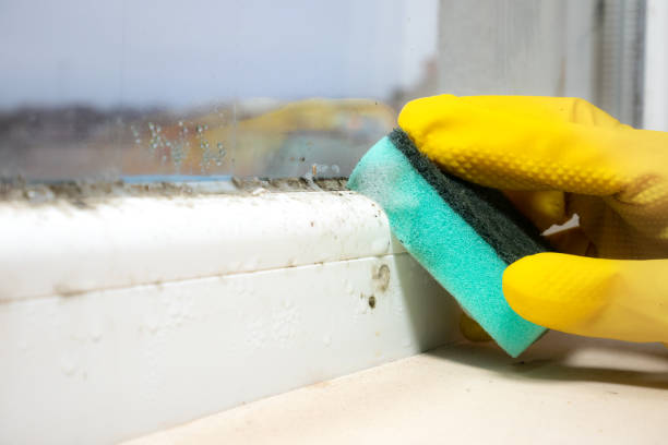 Best Emergency Mold Removal  in Sharon Center, OH