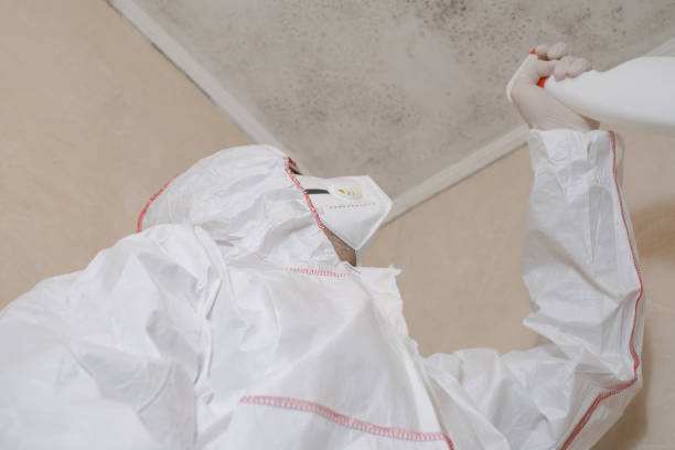 Best Mold Testing  in Sharon Center, OH